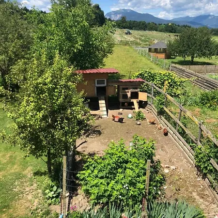 Haus Sonja Homestay *