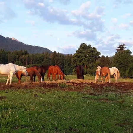 Haus Sonja Pansiyon *