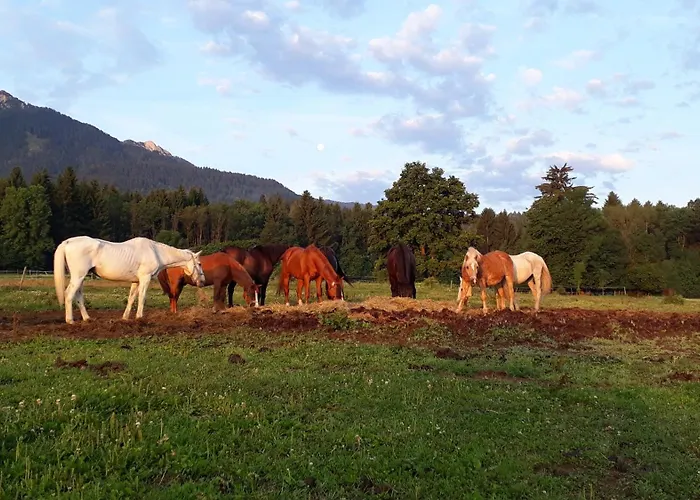 Haus Sonja Pansiyon *